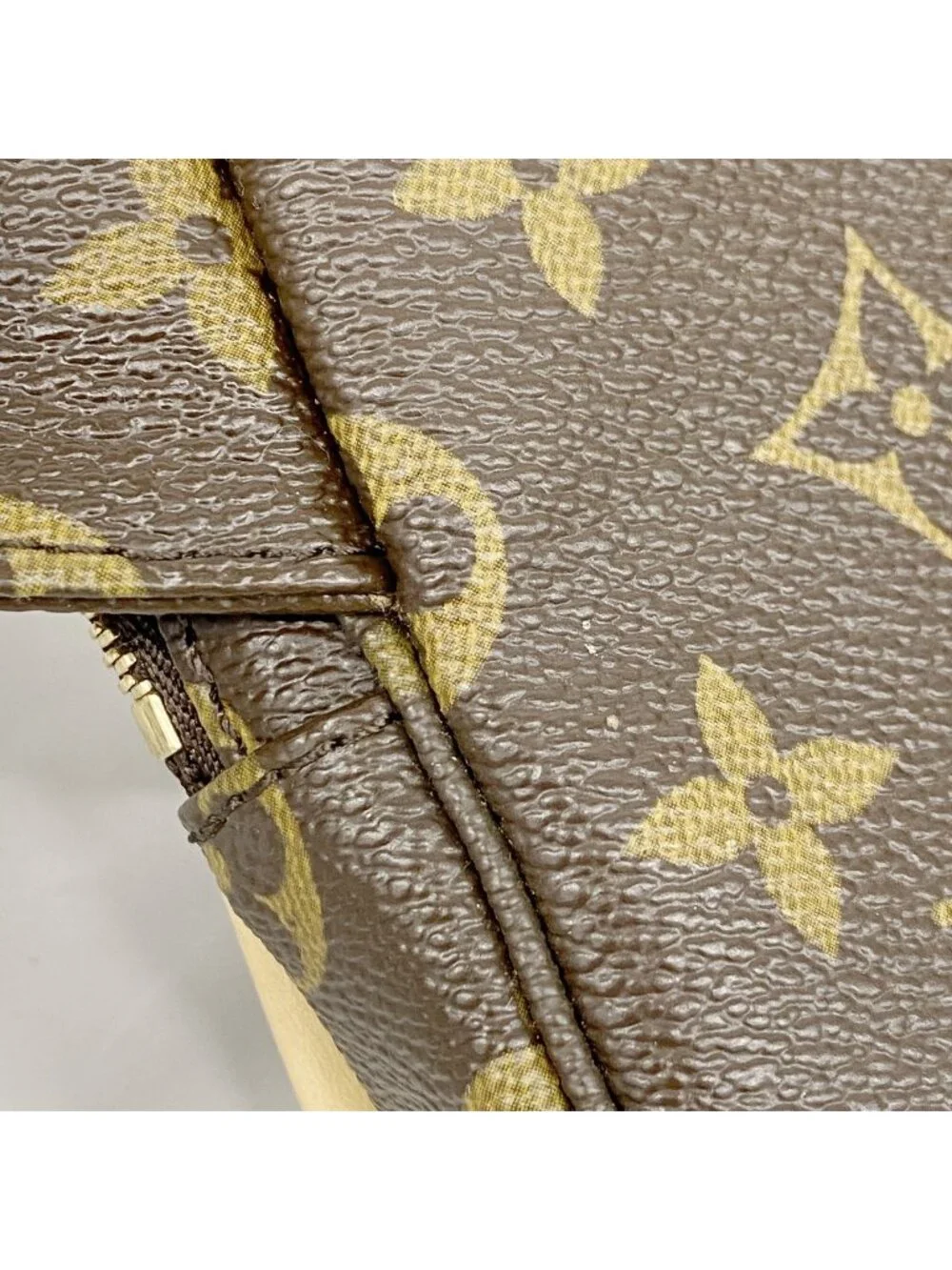 Louis Vuitton Waist Bag Monogram Bosfall Brown